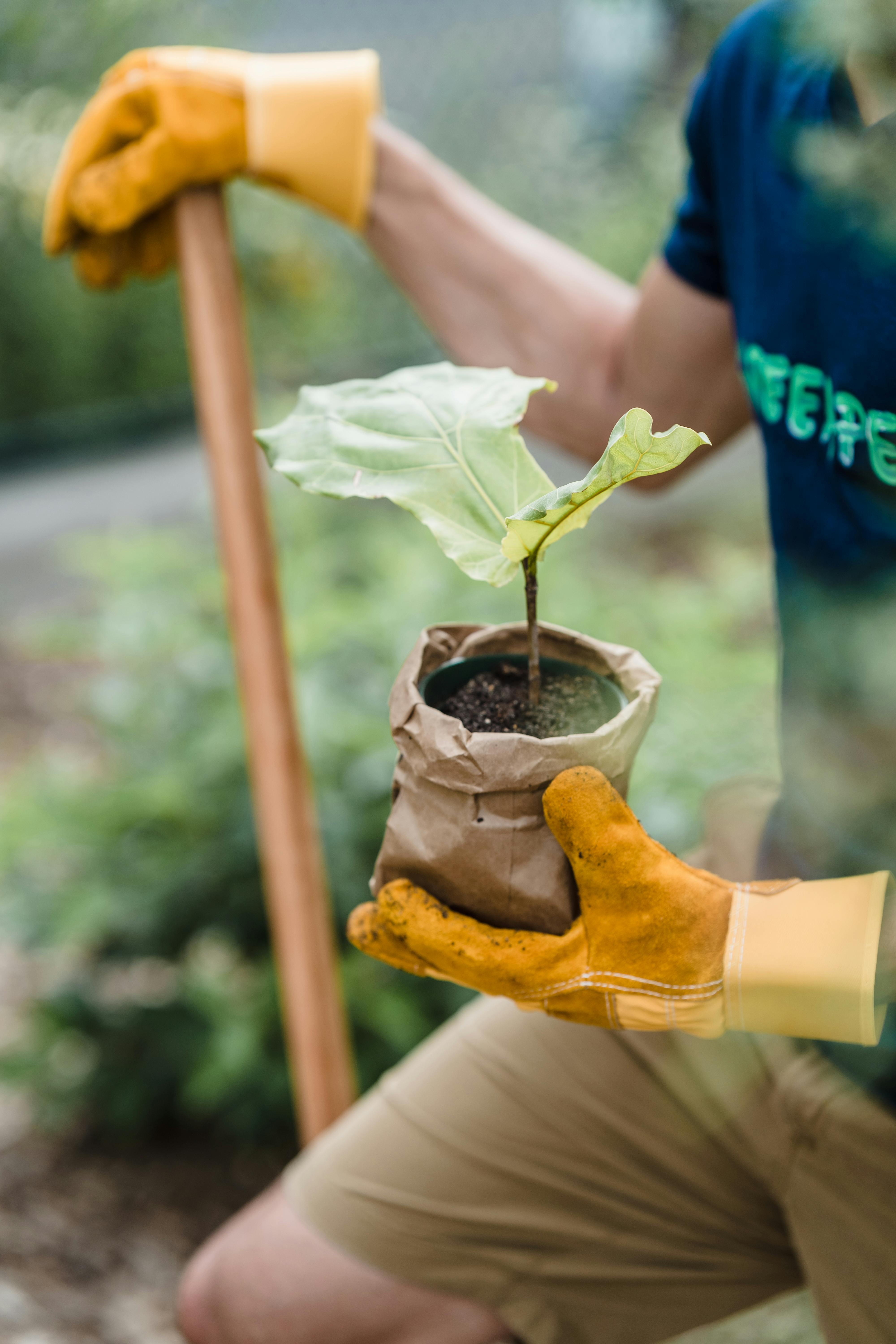 A sapling in a brown paper bag held by a manual laborer leaning on a shovel.